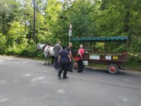 Mai/Juni 2019 Erzgebirge